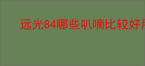 远光84哪些叭嘀比较好用,远光84新手选择推荐