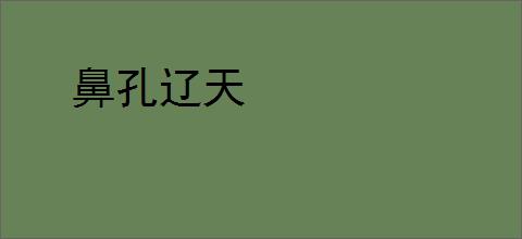 鼻孔辽天