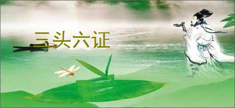 三头六证