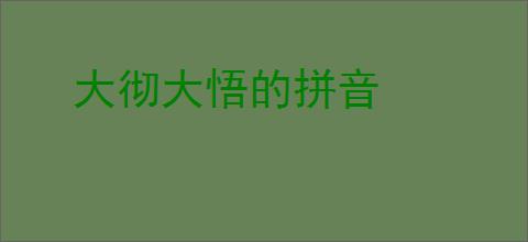 大彻大悟的拼音
