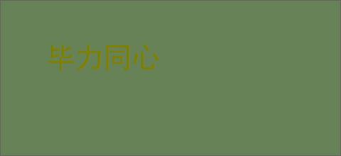 毕力同心