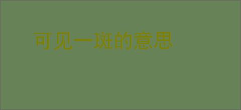 可见一斑的意思