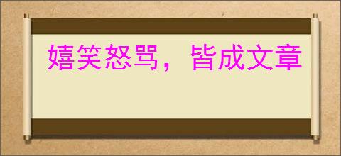 嬉笑怒骂，皆成文章