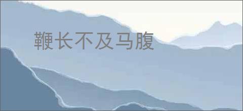 鞭长不及马腹