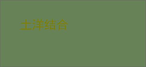 土洋结合