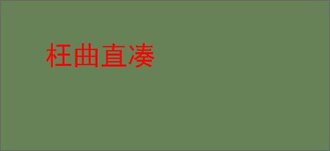 枉曲直凑