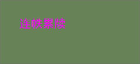 连帙累牍