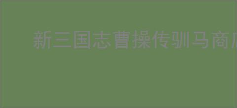 新三国志曹操传驯马商店换什么好,新三国志曹操传驯马商店物品推荐