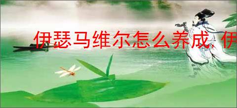 伊瑟马维尔怎么养成,伊瑟马维尔阵容搭配推荐