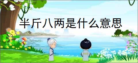 半斤八两是什么意思