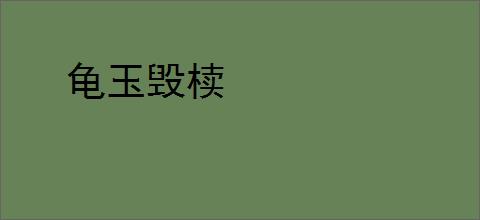 龟玉毁椟
