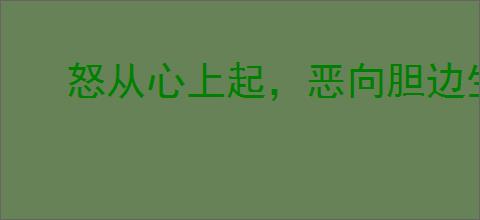怒从心上起，恶向胆边生