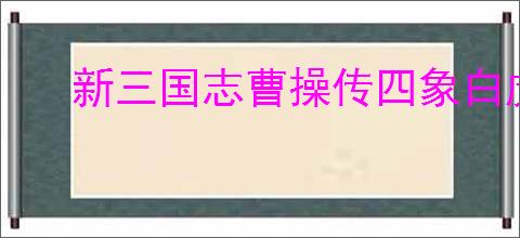 新三国志曹操传四象白虎第三关怎么过,新三国志曹操传四象白虎第三关阵容