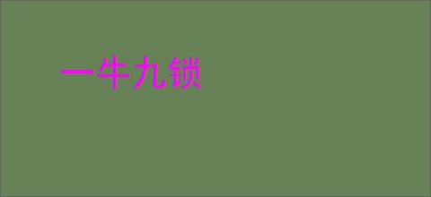 一牛九锁