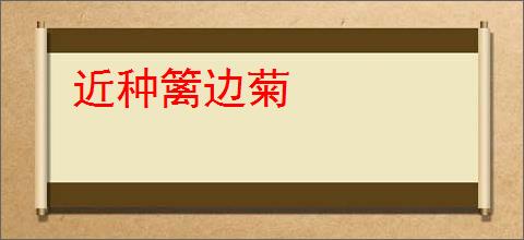 近种篱边菊