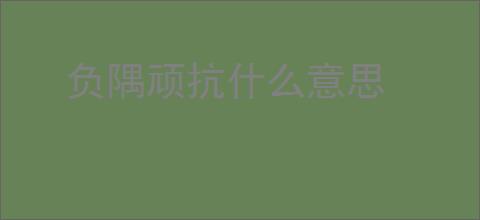负隅顽抗什么意思