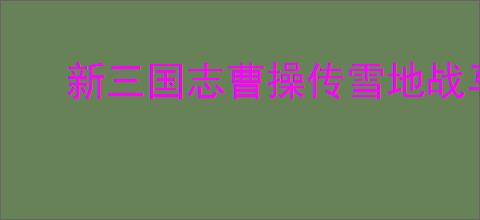 新三国志曹操传雪地战马怎么选,新三国志曹操传战马选择攻略