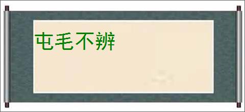屯毛不辨