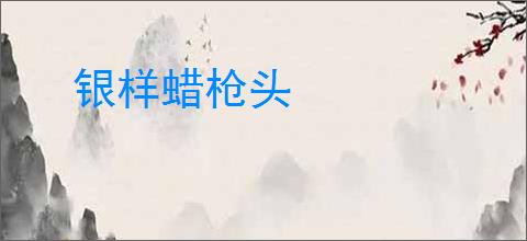 银样蜡枪头