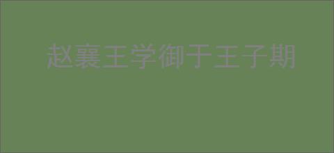 赵襄王学御于王子期