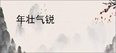 年壮气锐