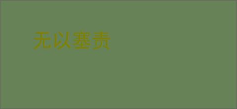 无以塞责