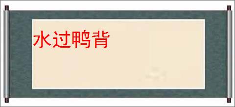 水过鸭背
