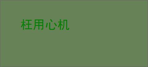 枉用心机