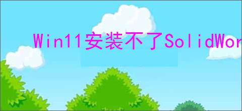 Win11安装不了SolidWorks如何解决