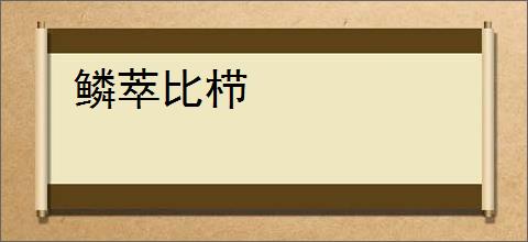 鳞萃比栉