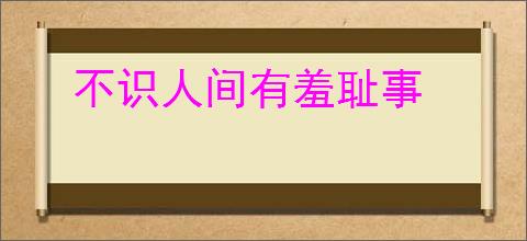不识人间有羞耻事