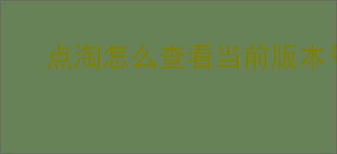 点淘怎么查看当前版本号