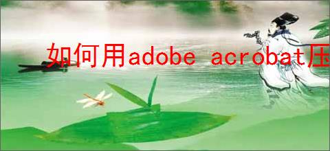 如何用adobe acrobat压缩pdf大小