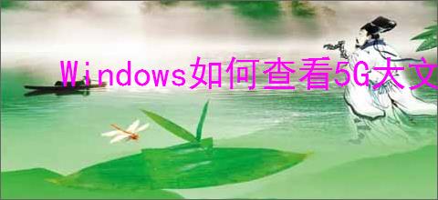 Windows如何查看5G大文件