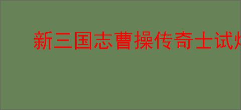 新三国志曹操传奇士试炼25怎么过,新三国志曹操传奇士试炼25阵容推荐