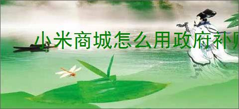 小米商城怎么用政府补贴