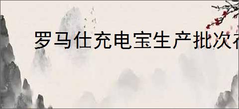 罗马仕充电宝生产批次在哪看