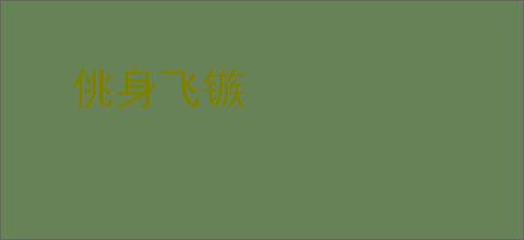 佻身飞镞