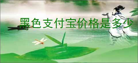 黑色支付宝价格是多少