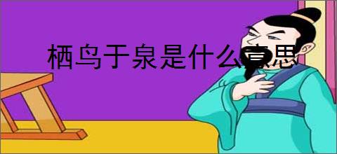 栖鸟于泉是什么意思