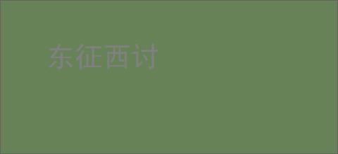 东征西讨