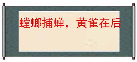 螳螂捕蝉，黄雀在后