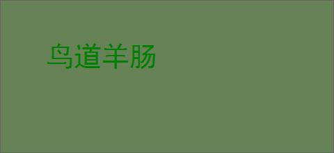 鸟道羊肠