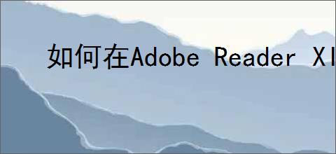 如何在Adobe Reader XI中设置双面打印