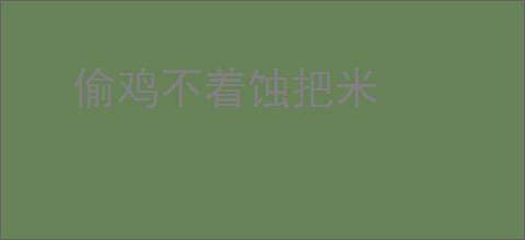 偷鸡不着蚀把米