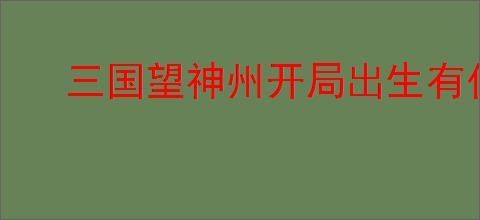 三国望神州开局出生有什么区别,三国望神州开局出生选择推荐