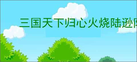 三国天下归心火烧陆逊队怎么玩,三国天下归心火烧陆逊队搭配推荐