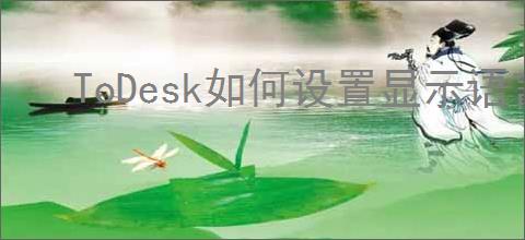 ToDesk如何设置显示语言