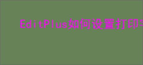 EditPlus如何设置打印字体