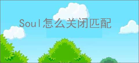 Soul怎么关闭匹配